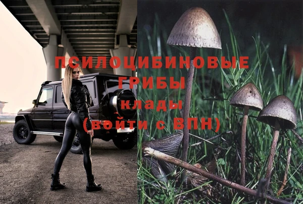 прущие крисы Усолье-Сибирское