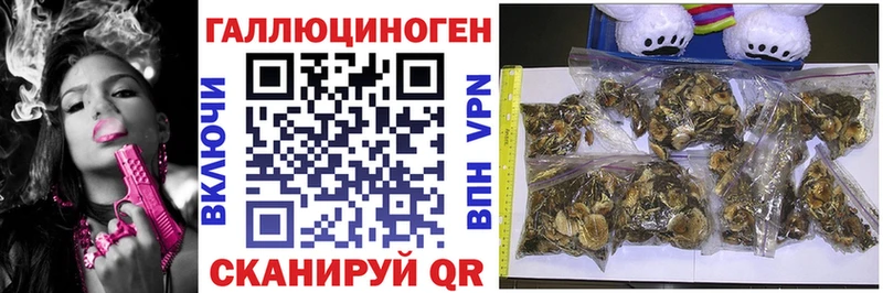 дарнет шоп  Усть-Кут  Псилоцибиновые грибы Psilocybine cubensis 