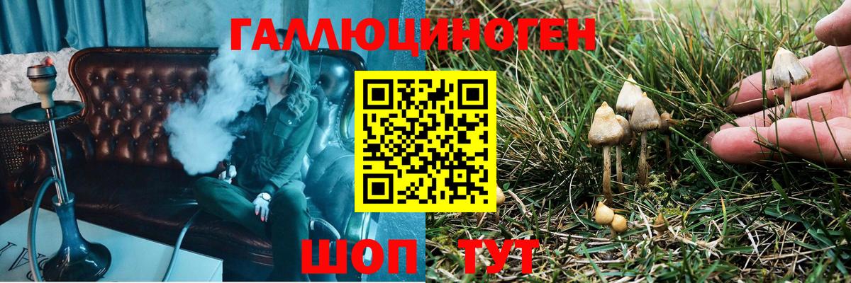 Канабис  Меф МЯУ МЯУ   LSD-25  Alpha-PVP СК   Усть-Кут  COCAIN  NBOMe  КОКАИН  ГАШИШ  Кетамин  Гашиш 